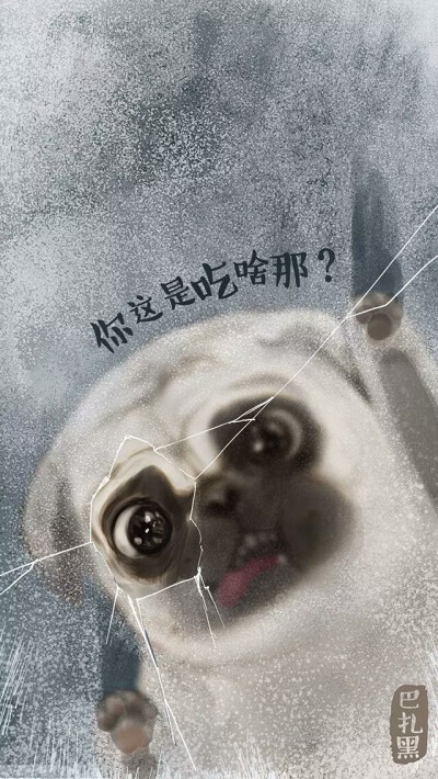 你这是吃啥那？