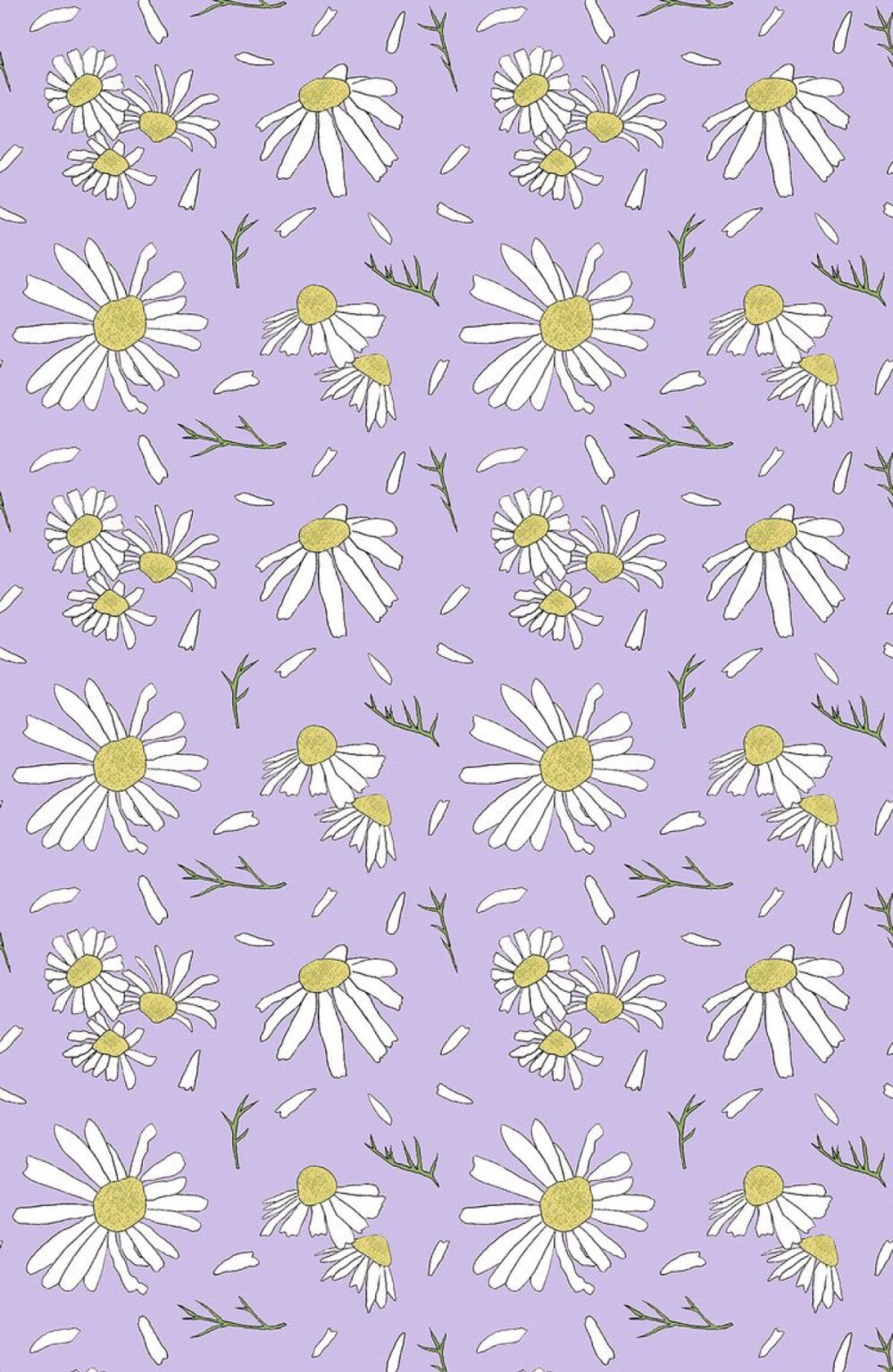 Daisy wallpaper 