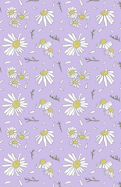 Daisy wallpaper 