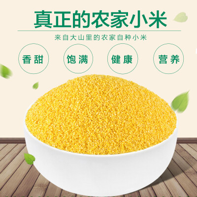 山西黄小米2500g食用有机杂粮小米农家月子米小米粥小黄米粮食吃