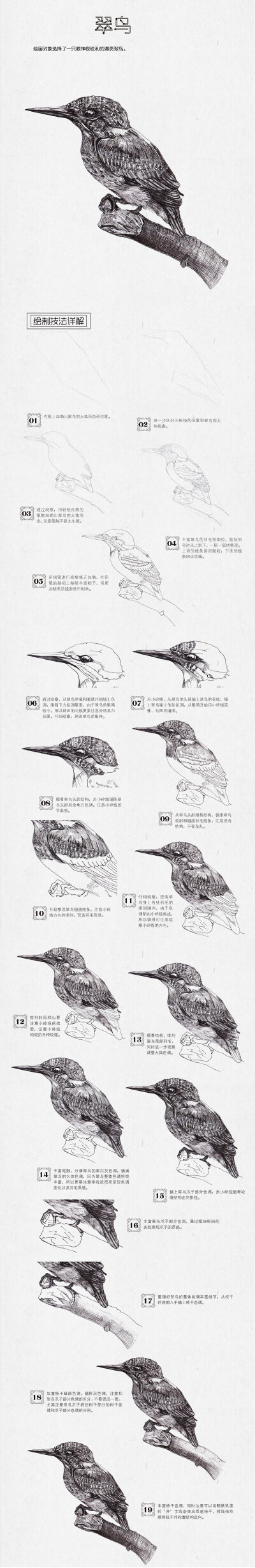 本案例摘自人民邮电出版社出版、爱林文化主编的《钢笔画基础教程》http://product.dangdang.com/24029185.html