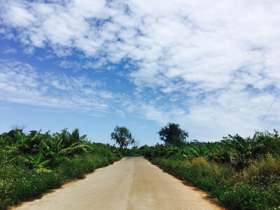 环岛路