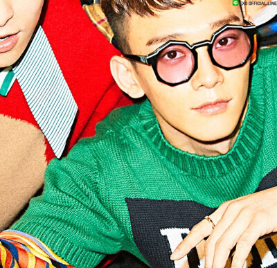 EXO 엑소 CHEN 첸 김종대 金钟大 Kim Jong Dae