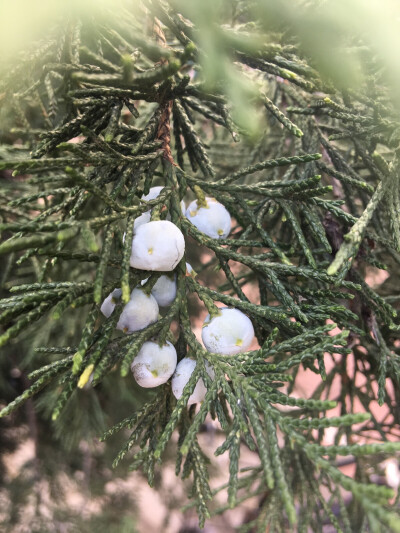 听说明天风雨交加，午饭后赶紧晒了会儿太阳。