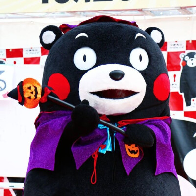 #kumamon##熊本部长# 熊本熊万圣节南瓜装( ′艸｀)