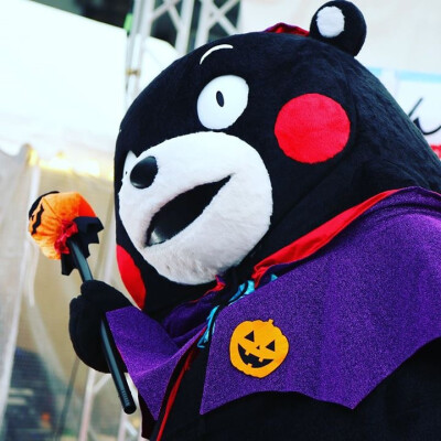 #kumamon##熊本部长# 熊本熊万圣节南瓜装( ′艸｀)