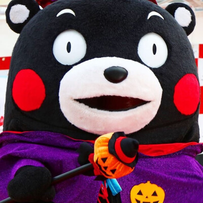 #kumamon##熊本部长# 熊本熊万圣节南瓜装( ′艸｀)