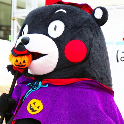 #kumamon##熊本部长# 熊本熊万圣节南瓜装( ′艸｀)