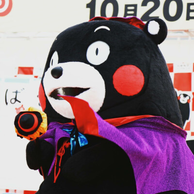 #kumamon##熊本部长# 熊本熊万圣节南瓜装( ′艸｀)