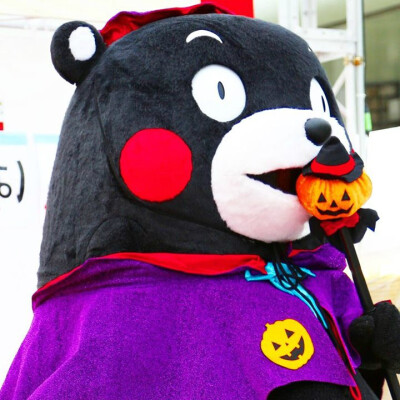 #kumamon##熊本部长# 熊本熊万圣节南瓜装( ′艸｀) 