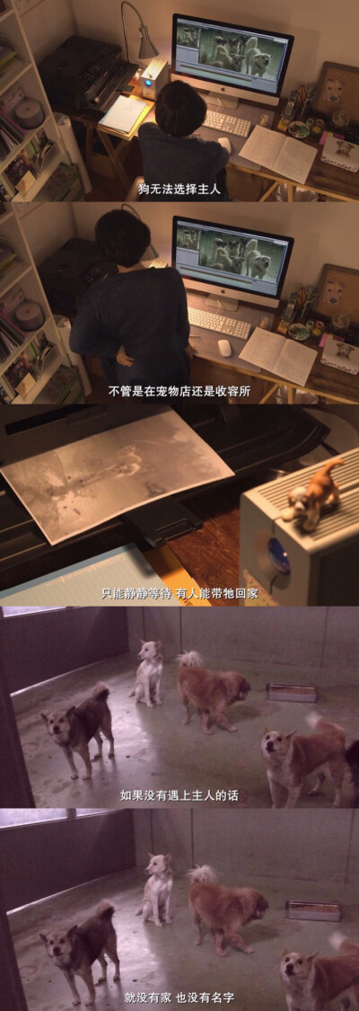 为你取名的那一天