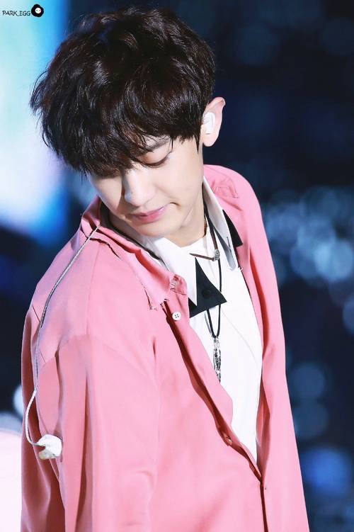 朴灿烈.ChanYeal.EXO