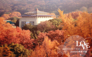 山水一程 三生有幸
武汉大学 珞珈山