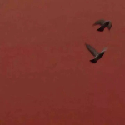 杀猪妹的原宿风 暗黑 酷 韩系 日系 港味 个性 壁纸 键盘图 复古风