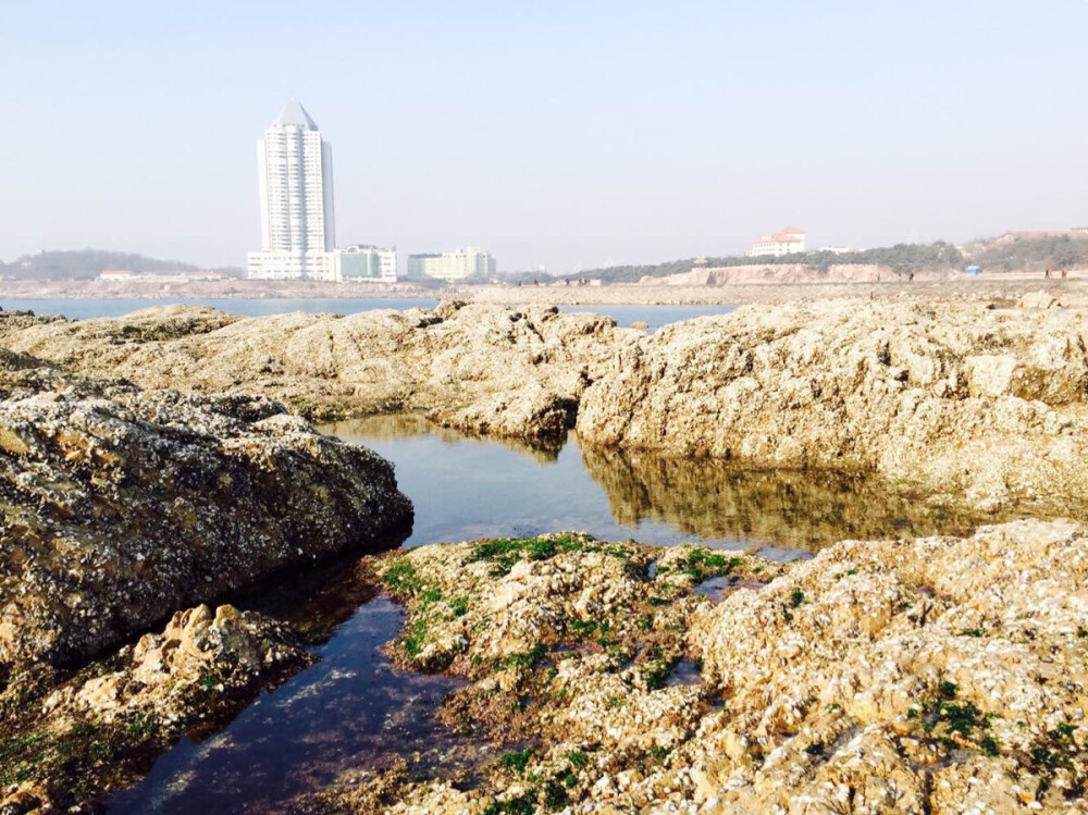 青岛的海