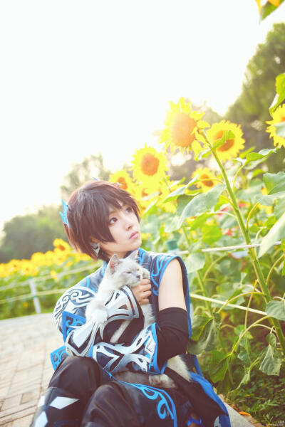 【cos】唐门少侠与喵哥哥
唐门正太 cn: 白噢 喵哥 cn: 路飞
摄影：米 化妆：白噢 后期：白噢 协力：司夜 舞澈