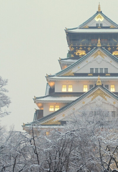 Osaka Castle, Japan。日本大阪城。大阪城和名古屋城、熊本城并列日本历史上的三名城，别名“金城”或“锦城”，是日本最著名的城堡之一。大阪城于16世纪建成，整座城堡建在很高的石头砌成的基座上，以便抵御入侵者…