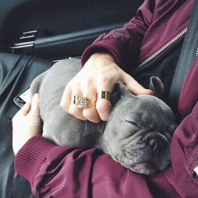 小清新 森系 图片 韩系 皮肤 头像 女头 男头 情头 半身 性感 风景 壁纸 宠物 插画 动漫 漫画 喜欢关注不定期更新（近期贴吧乐园惊现大部分我专辑图 甚至一张不漏 专辑一开始就声明不要拿图二次上传 麻烦小可爱们看到…