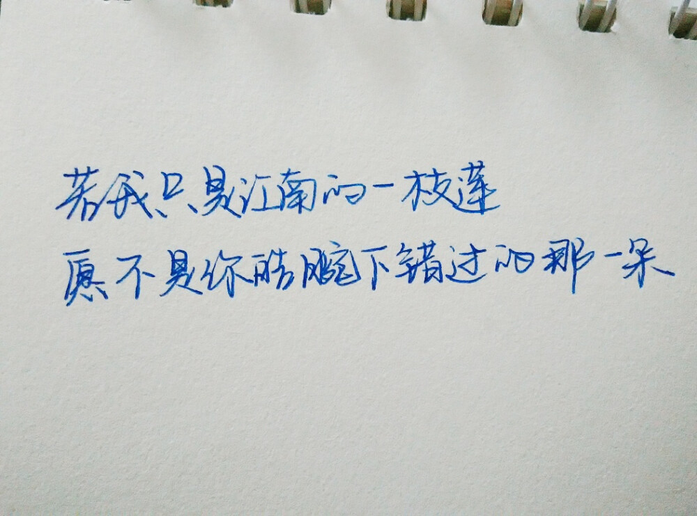 若我只是江南的一枝莲，愿不是你皓腕下错过的那一朵。化用席慕蓉《前缘》
手写文字