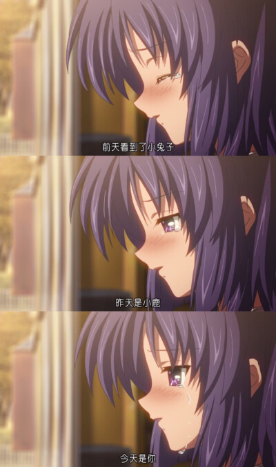 《clannad》