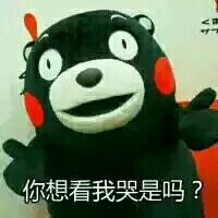 熊本熊