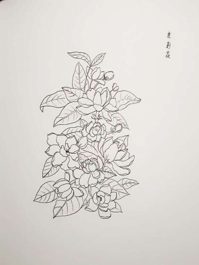 茉莉花