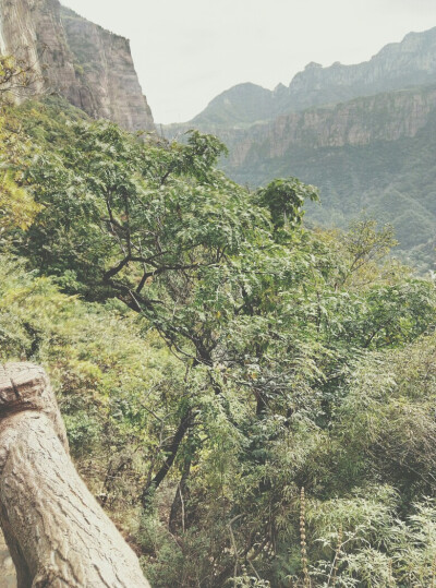 万仙山