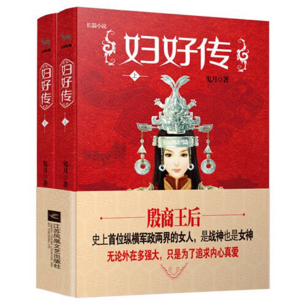 她的身份，是王后；她的城池，是殷墟；
她的时代，叫商朝；她的名字，叫妇好。
她参与政治比武则天早1800年，带兵打仗比花木兰早1700年；
她是商王武丁至爱、战神王后妇好，武丁中兴的另一个推动者。
《妇好传》以甲骨卜辞、《诗经》、《山海经》中的记载为依据，以妇好从部落公主—武丁侍女—贱奴—无忧城主—王后、女将的成长历程为线索，还原了史上首位位女政治家、战神王后妇好与商王武丁的传奇绝恋。 