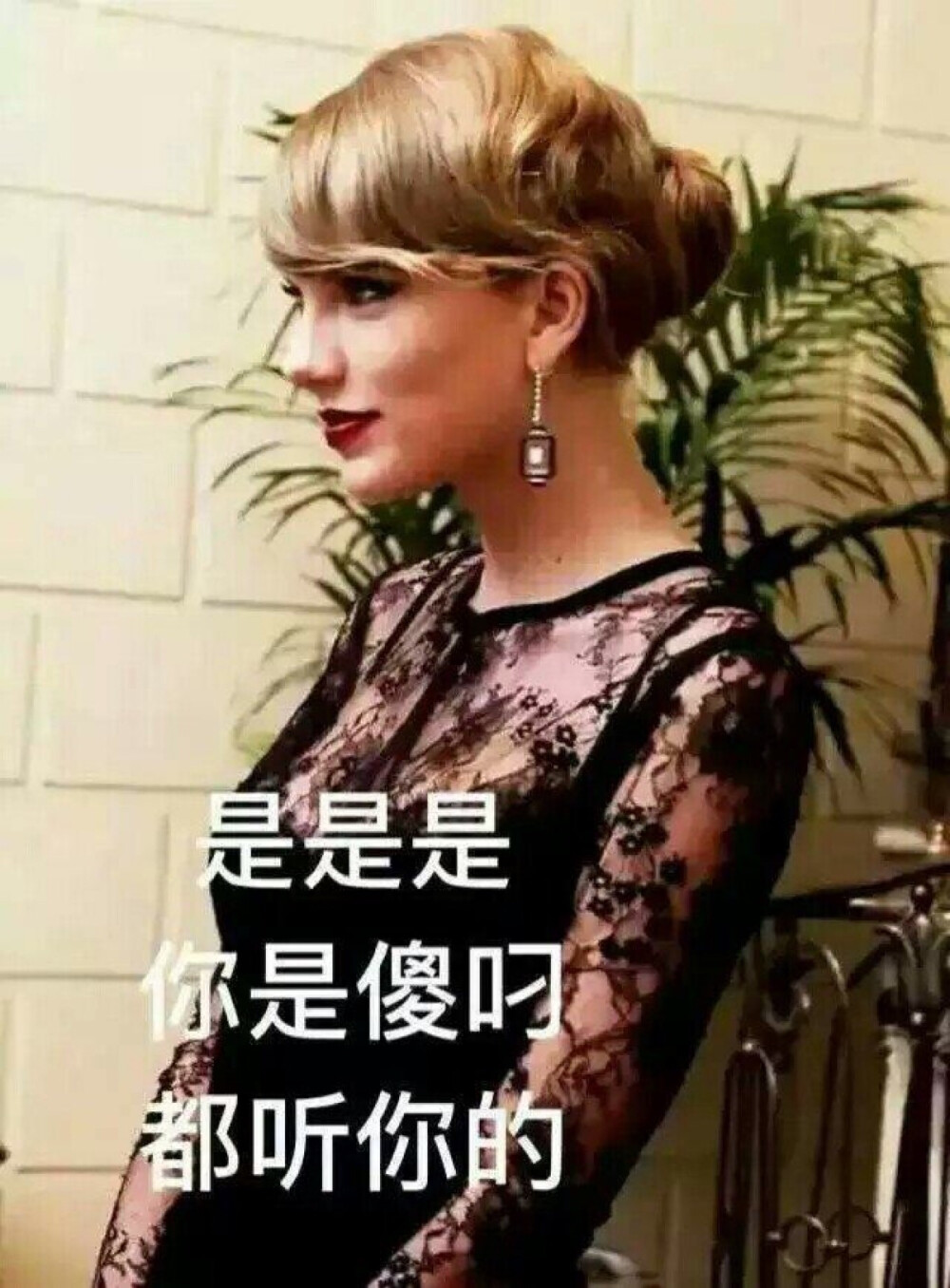 哈哈哈哈，我霉表情帝