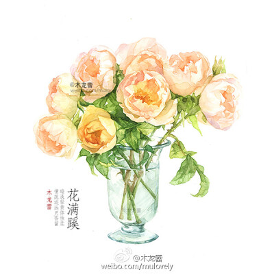 #木龙蕾/绘#花满蹊，手绘水彩插画 花卉