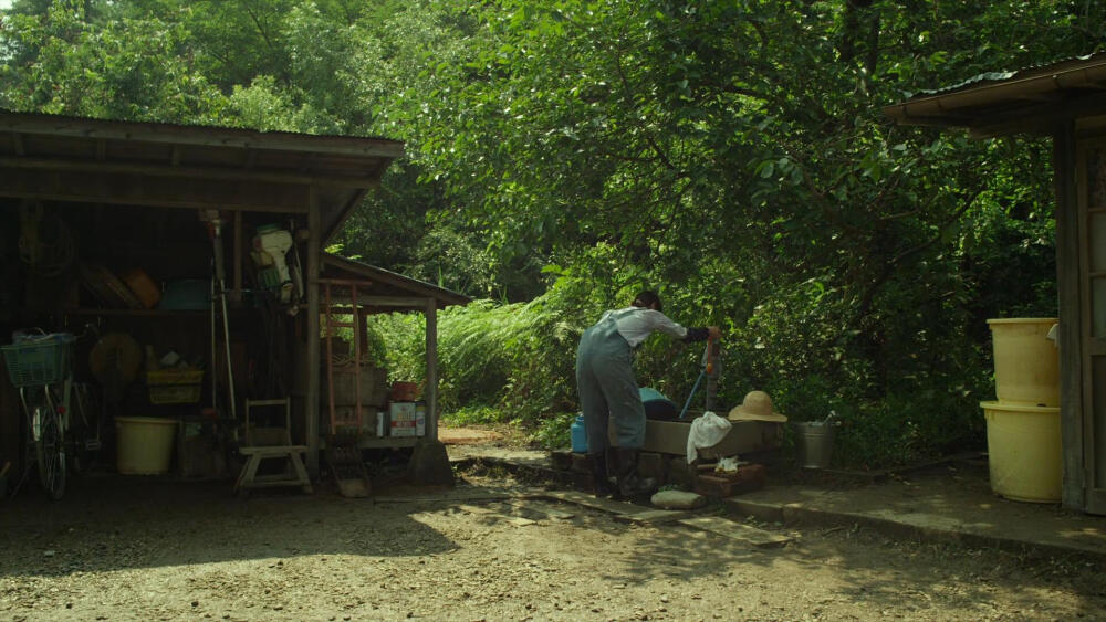 《小森林》夏篇截图