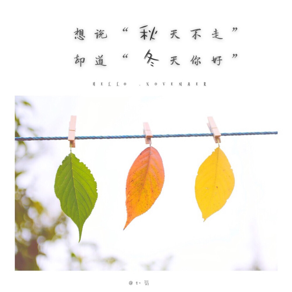 十一月 November 