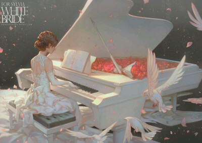 婚礼 鸽子 钢琴