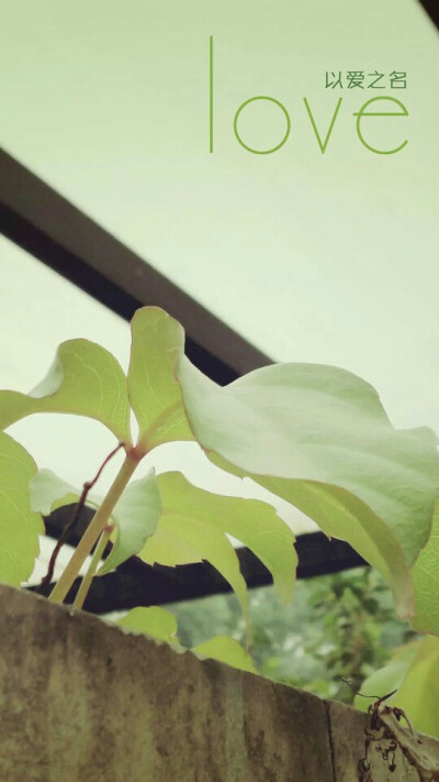 仰视