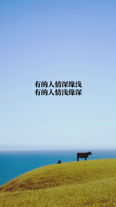 原创 自制 壁纸 背景 文字 禁止加水印修改