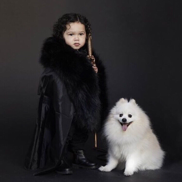 万圣节 权力的游戏 Game of Throne 囧雪诺与他的白灵 Jon Snow and Ghost
凛冬将至 Winter is coming