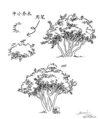 风景速写技巧图源网