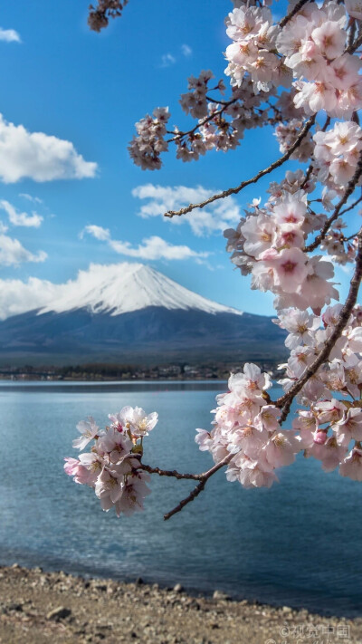 富士山
富士山从山脚到山顶，共划分为10个阶段，每个阶段是一个“合目”，由山脚下出发到半山腰称为五合目，一共十合目。