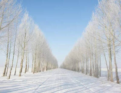 呼伦贝尔 雪景