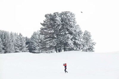 呼伦贝尔 雪景