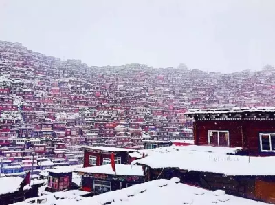 呼伦贝尔 雪景