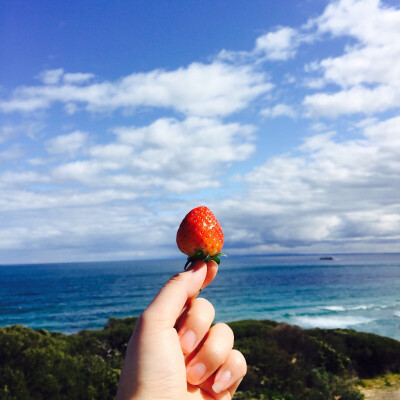 Point Nepean