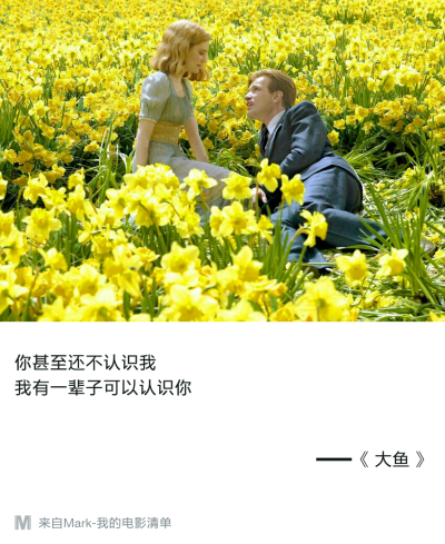 电影台词 影音书 Mark