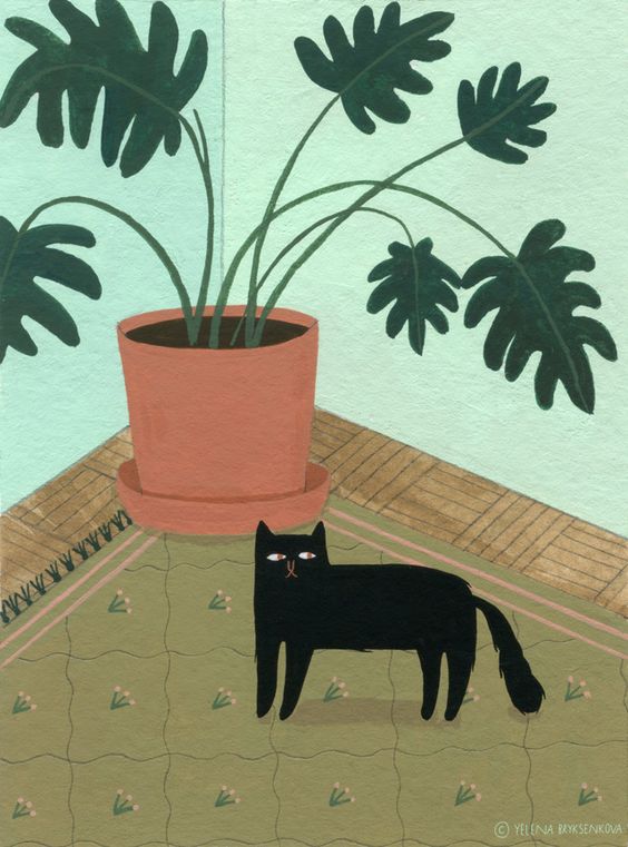 cats & plants 插画 Yelena Bryksenkova