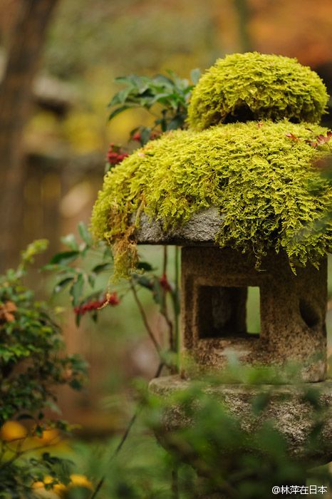 日本庭院，神社等里常见的元素：石灯笼