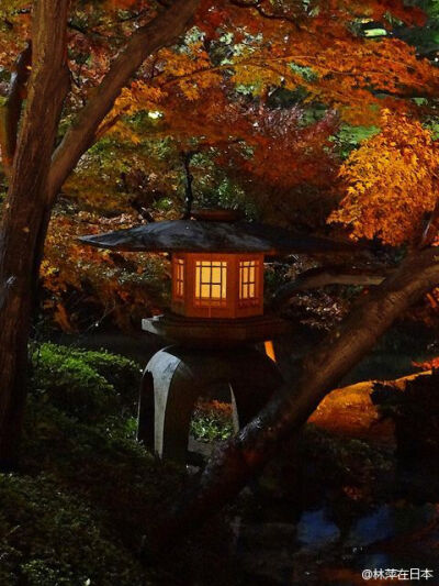 日本庭院，神社等里常见的元素：石灯笼