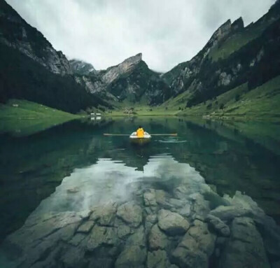 每到冬天就会怀疑那闷热的、湿漉漉的夏天不曾存在过，绣球花没有开过，蜻蜓没有来过，轰隆隆的雷声不曾在云朵里翻滚过。是灰蒙与雾，是这个冬季。