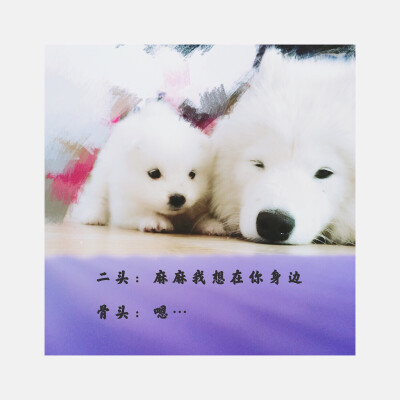 小时候的一组纪录