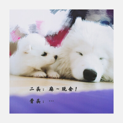 小时候的一组纪录