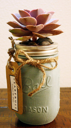 植物都是不会言语的疯子